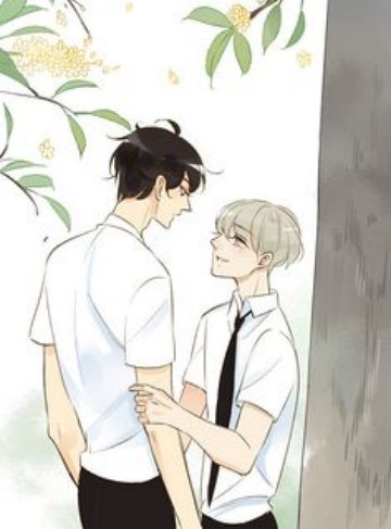 握神剑御帝凰杀疯三界谁敢惹？（黄家银）‌女频热门小说合集‌_无畏无惧，执剑护情，热血与友情交织的炫酷冒险之旅