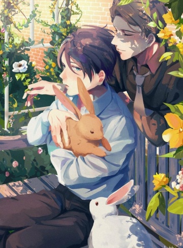 全球豪嫁继承者（洛心辰）网络小说每日更新_爱与权力的博弈，揭示豪门婚姻背后的真相与抉择