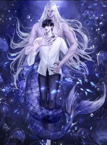 九幽·云汐谣（谜语娘子）最新连载小说在线看_追寻梦想中的真实与成长