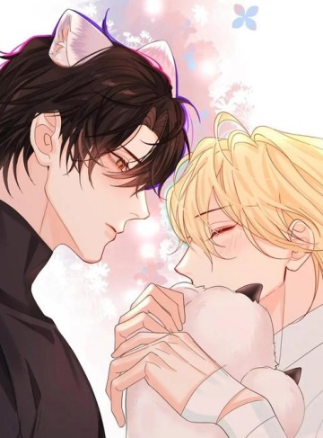 是我的爱人（甜书书）优质小说在线阅读平台_都市情感中的契约与救赎之路